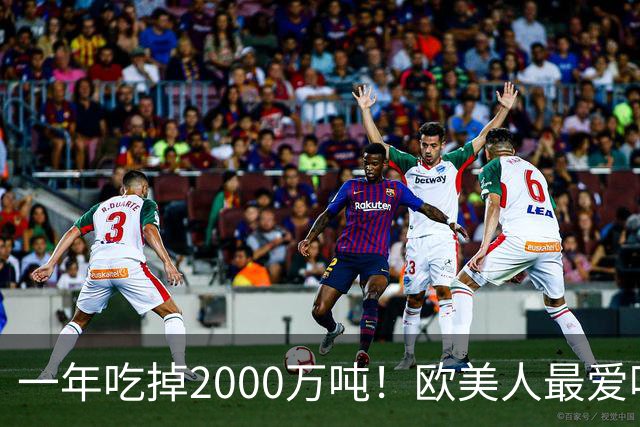 一年吃掉2000万吨！欧美人最爱吃的奶酪，为啥在中国不流行？